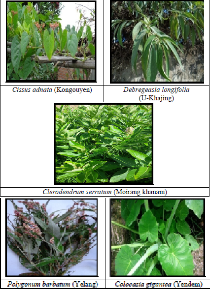 Selected medicinal plant samples